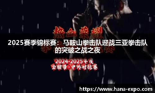 2025赛季锦标赛：马鞍山拳击队迎战三亚拳击队的突破之战之夜